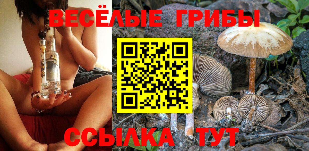 Галлюциногенные грибы прущие грибы Сегежа