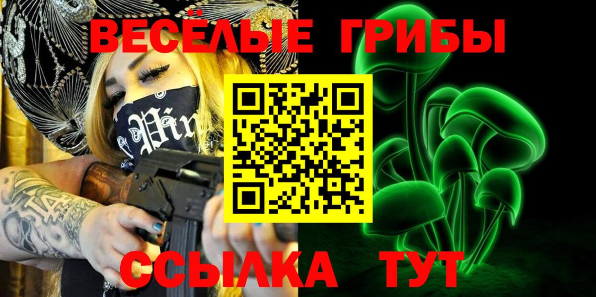 ГАШ Сегежа