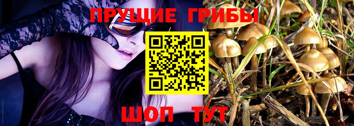 Сегежа  Галлюциногенные грибы GOLDEN TEACHER  Вход с VPN 