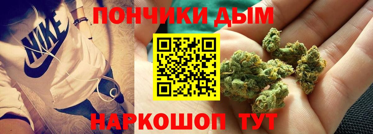 Бошки марихуана марихуана Сегежа